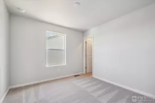 882 Mesic Ln, Windsor, CO 80550 - Photo 20