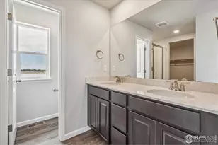 882 Mesic Ln, Windsor, CO 80550 - Photo 24