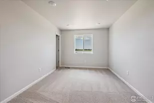 882 Mesic Ln, Windsor, CO 80550 - Photo 12