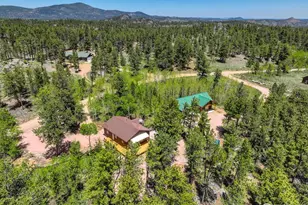 132 Nicola Way, Red Feather Lakes, CO 80545 - Photo 28