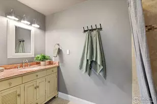 113 Oak St, Windsor, CO 80550 - Photo 24