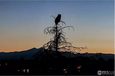 4388 Lemon Grass Dr, Johnstown, CO 80534 - Photo 38