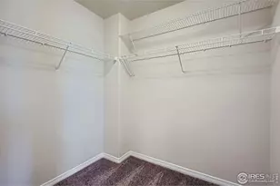 5755 Clarence Dr, Windsor, CO 80550 - Photo 16