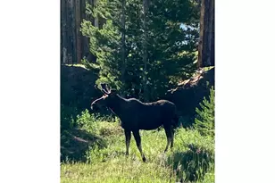 10658 US Hwy 34, Grand Lake, CO 80447 - Photo 26