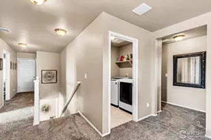 2169 Longfin Dr, Windsor, CO 80550 - Photo 18