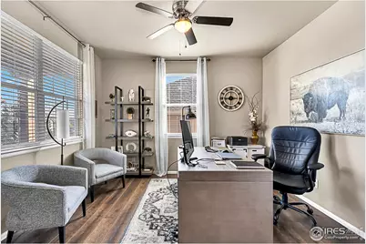 2169 Longfin Dr, Windsor, CO 80550 - Photo 4