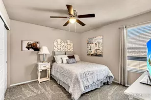 2169 Longfin Dr, Windsor, CO 80550 - Photo 16