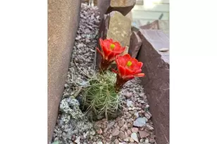 1111 Utica Cir, Boulder, CO 80304 - Photo 40