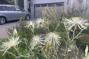 1111 Utica Cir, Boulder, CO 80304 - Photo 50