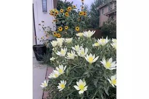 1111 Utica Cir, Boulder, CO 80304 - Photo 4