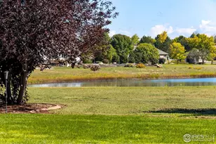 335 N Shore Circle, Windsor, CO 80550 - Photo 46