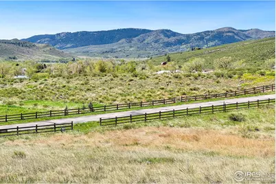 4442 Del Colina Way, Laporte, CO 80535 - Photo 6