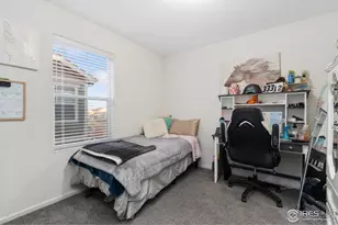 3202 Loomis Lake Ct, Loveland, CO 80538 - Photo 16