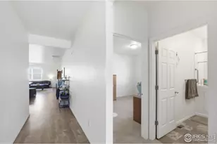 916 Birchdale Ct, Windsor, CO 80550 - Photo 6