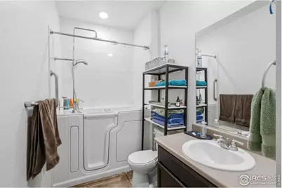 916 Birchdale Ct, Windsor, CO 80550 - Photo 20