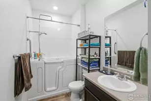 916 Birchdale Ct, Windsor, CO 80550 - Photo 20