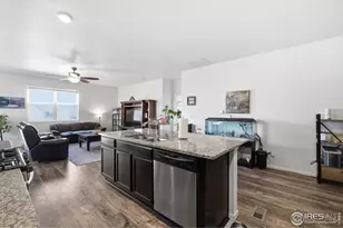 916 Birchdale Ct, Windsor, CO 80550 - Photo 10