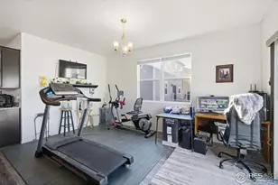 916 Birchdale Ct, Windsor, CO 80550 - Photo 18