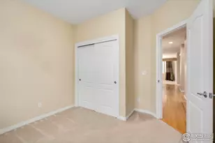 5328 Moonlight Bay Dr, Windsor, CO 80528 - Photo 22