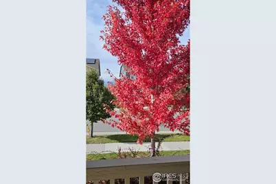 849 Dinosaur Dr, Erie, CO 80516 - Photo 44