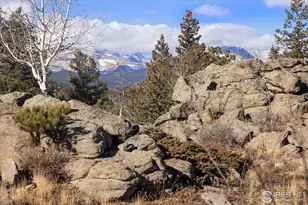 198 Frontier Ln, Nederland, CO 80466 - Photo 30