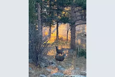 198 Frontier Ln, Nederland, CO 80466 - Photo 44