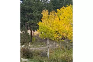 198 Frontier Ln, Nederland, CO 80466 - Photo 18