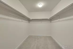 2538 Doe Rdg Wy, Johnstown, CO 80534 - Photo 16