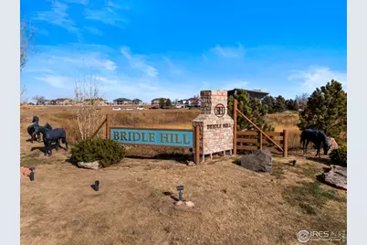 2668 Cutter Dr, Severance, CO 80524 - Photo 8