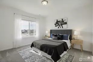 1003 Schlagel, Fort Collins, CO 80524 - Photo 10