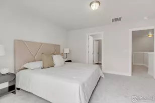709 Robert St, Longmont, CO 80503 - Photo 12