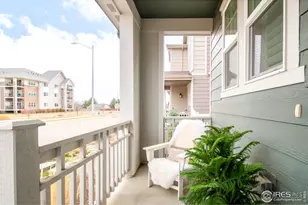 2455 Alpine St, Longmont, CO 80504 - Photo 6