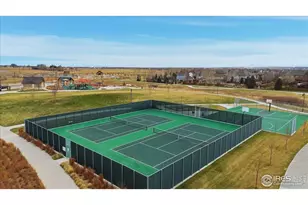 5039 Long Dr, Timnath, CO 80547 - Photo 36