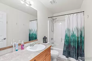 206 Windflower Way, Severance, CO 80550 - Photo 18