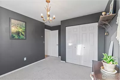 206 Windflower Way, Severance, CO 80550 - Photo 16