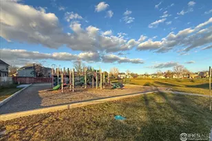 736 Singletree Ln, Eaton, CO 80615 - Photo 30