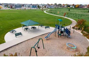 7333 Swan River St, Frederick, CO 80530 - Photo 22