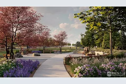 5593 Zadie Ave, Timnath, CO 80547 - Photo 12