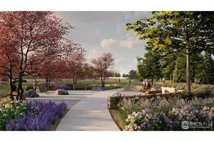 5593 Zadie Ave, Timnath, CO 80547 - Photo 12