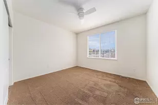 447 Havenbrook Dr, Windsor, CO 80550 - Photo 20