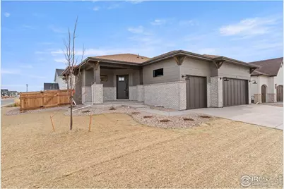 783 Canoe Birch Dr, Windsor, CO 80550 - Photo 1