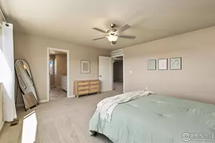 3751 Beech Tree St, Wellington, CO 80549 - Photo 12
