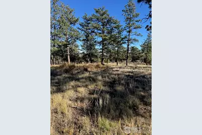 2225 Montcalm Dr, Livermore, CO 80536 - Photo 4