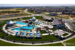 2076 Peach Blossom Dr, Windsor, CO 80550 - Photo 28