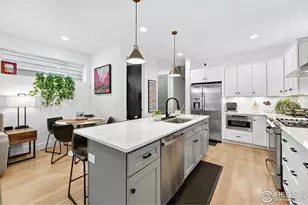 1299 Newton St, Denver, CO 80204 - Photo 12