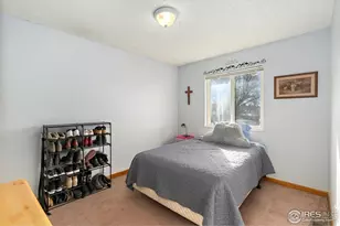 810 Storm Mountain Ct, Windsor, CO 80550 - Photo 10