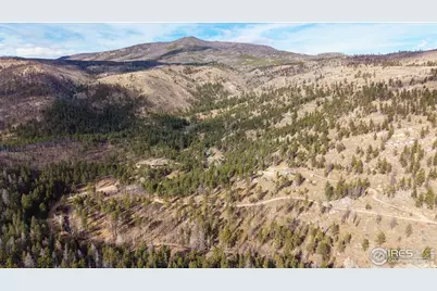 0 Cougar Cir Ct, Bellvue, CO 80512 - Photo 16
