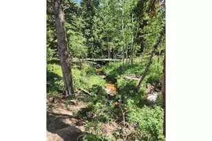 8451 Hwy 7, Allenspark, CO 80510 - Photo 18