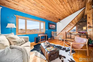 113 Purple Mountain Ct, Livermore, CO 80536 - Photo 20