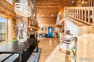 113 Purple Mountain Ct, Livermore, CO 80536 - Photo 8